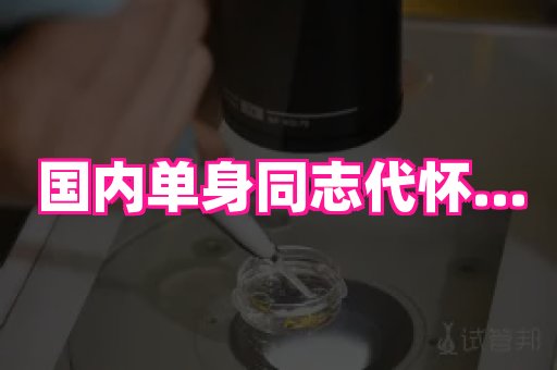 杭州助孕网站 2