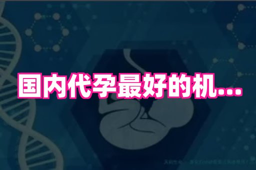 杭州助孕网站 3